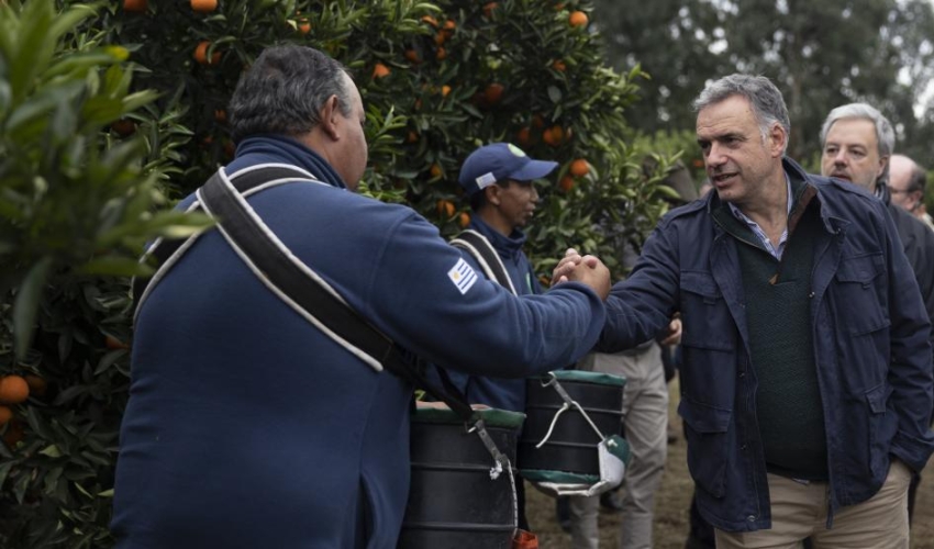 Presidente Orsi: Uruguay debe acompañar desarrollo del sector citrícola
