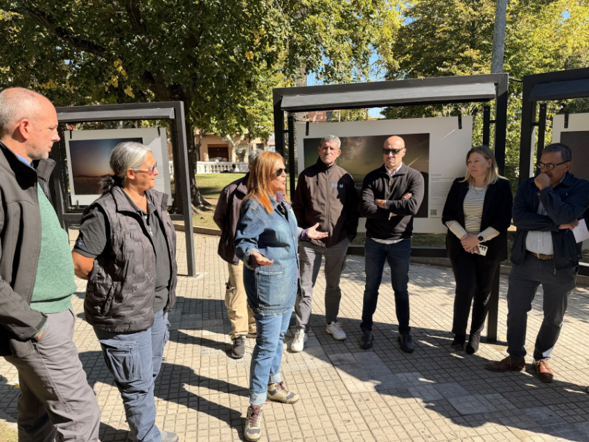 Exitoso procedimiento contra el Picudo Rojo