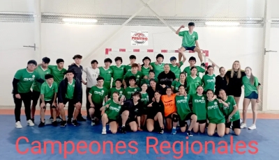 Carmelo Campeón Regional de Handball - J.D.N